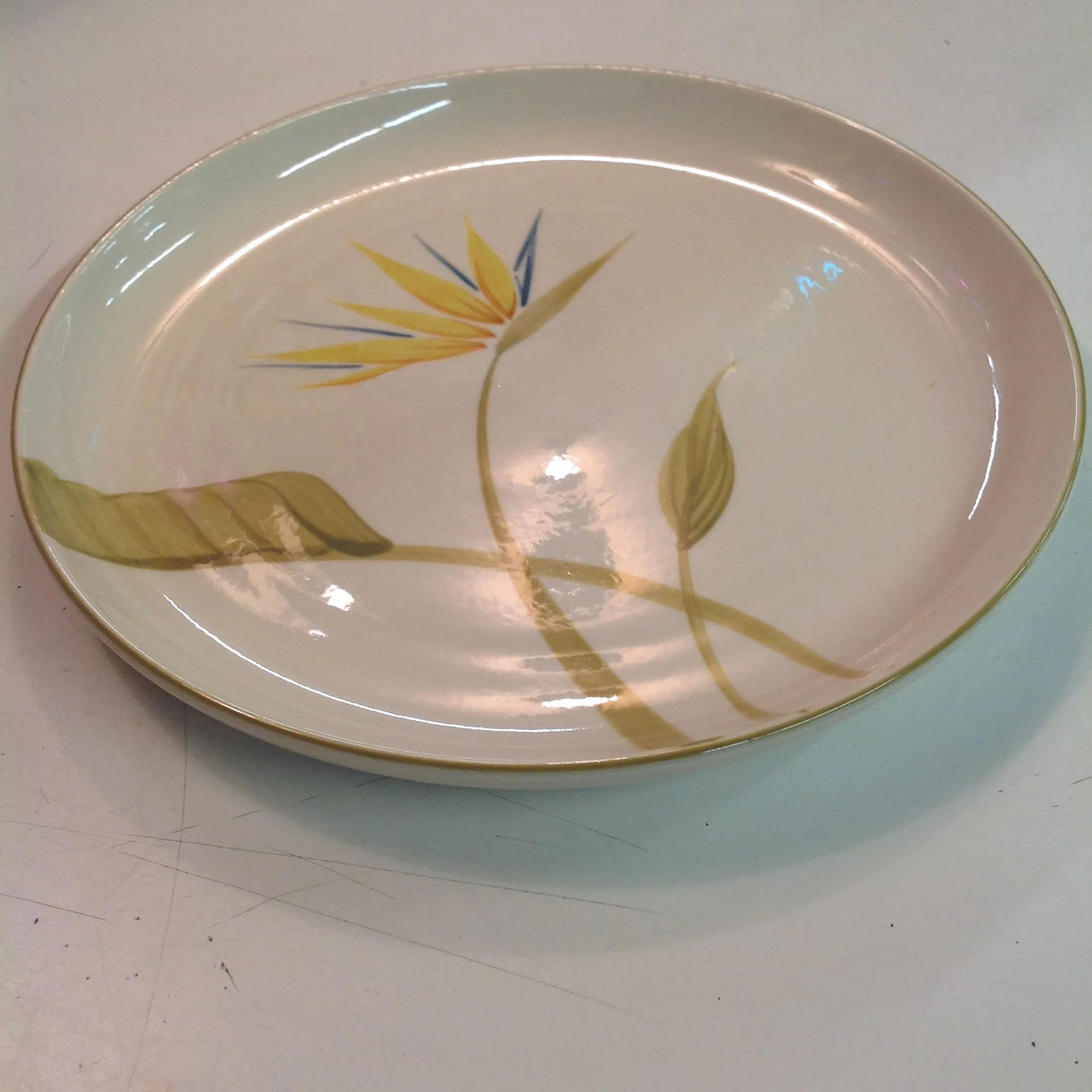 Vintage Handcrafted China Winfield Bird of Paradise Patterned Dinner Plate